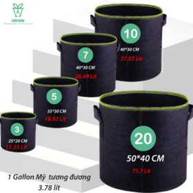 tính thoát nước của chậu trồng cây